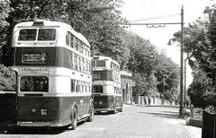Trolleybuses on The Ridge c1954